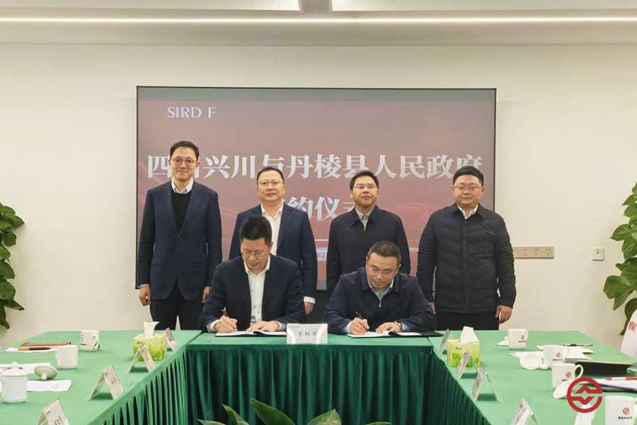阿后4和